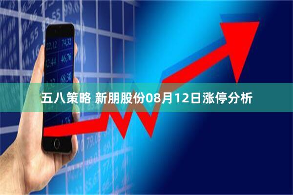 五八策略 新朋股份08月12日涨停分析