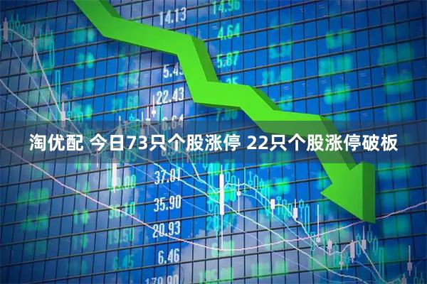 淘优配 今日73只个股涨停 22只个股涨停破板